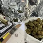 Polícia Civil fecha ponto de distribuição de drogas e prende suspeito de abastecer clientes de alto padrão em Palmas