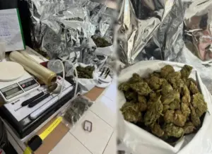 Polícia Civil fecha ponto de distribuição de drogas e prende suspeito de abastecer clientes de alto padrão em Palmas